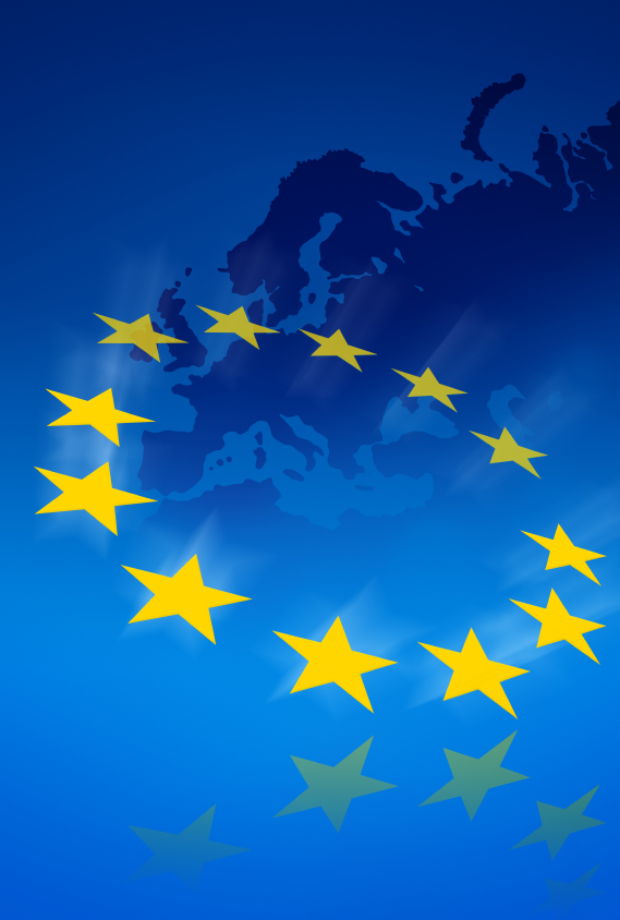 fondo comunidad Economica europea